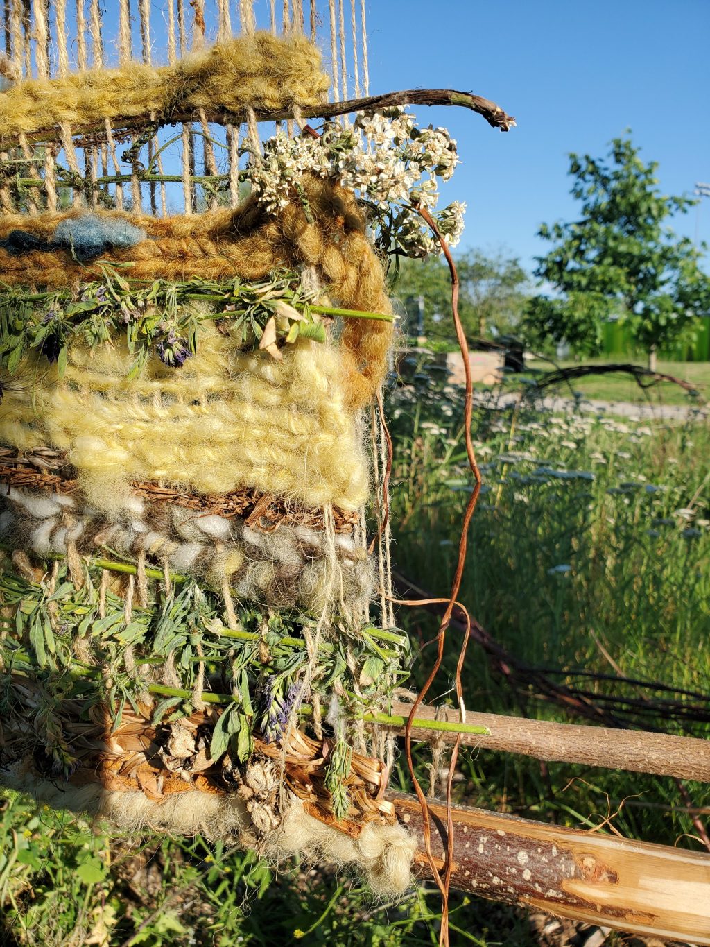 Looking to Autumn- programs to know&nbsp;about!