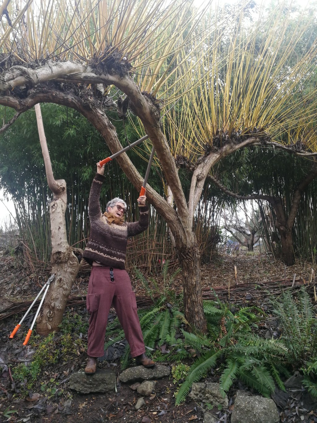 Announcing our 2024 Research&nbsp;Project